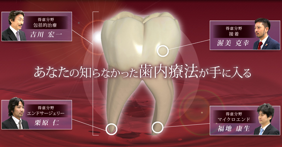 あなたの知らなかった歯内療法が手に入る